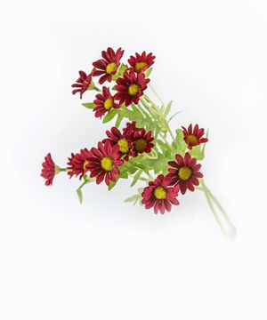 Artificial flowers, daisy