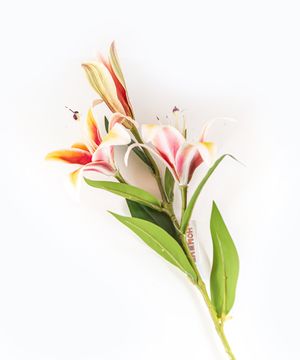 Artificial flowers, lily