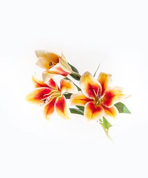 Artificial flowers, lily
