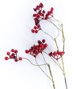 Artificial branch, rosehip