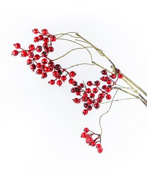 Artificial branch, rosehip