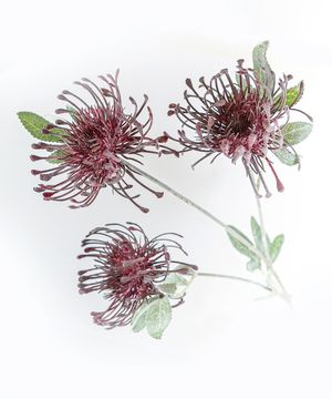 Artificial flowers, chrysanthemum