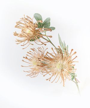 Artificial flowers, chrysanthemum