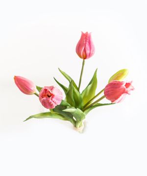 Artificial flowers, tulip