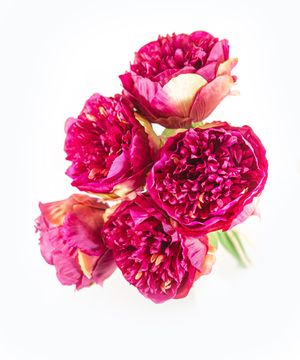 Artificial flowers, peony, pink