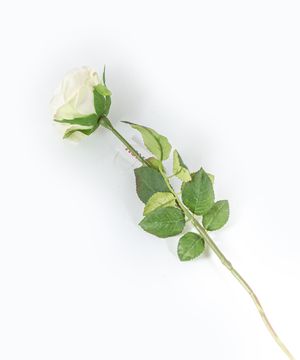 Artificial flowers, rose