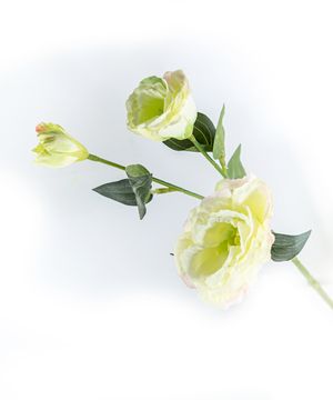 Artificial flowers, platycodon, green