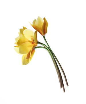 Artificial flowers, daffodil