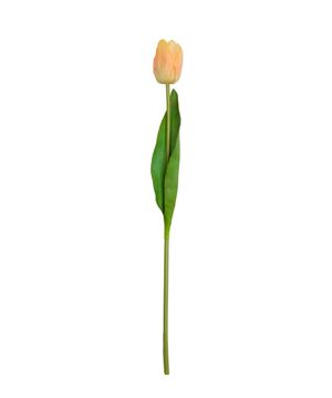 Faux tulip branch