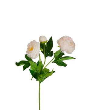 Faux peony flower branch