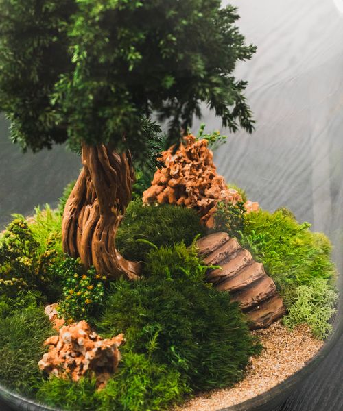 Ottogano" Terrarium | Homme